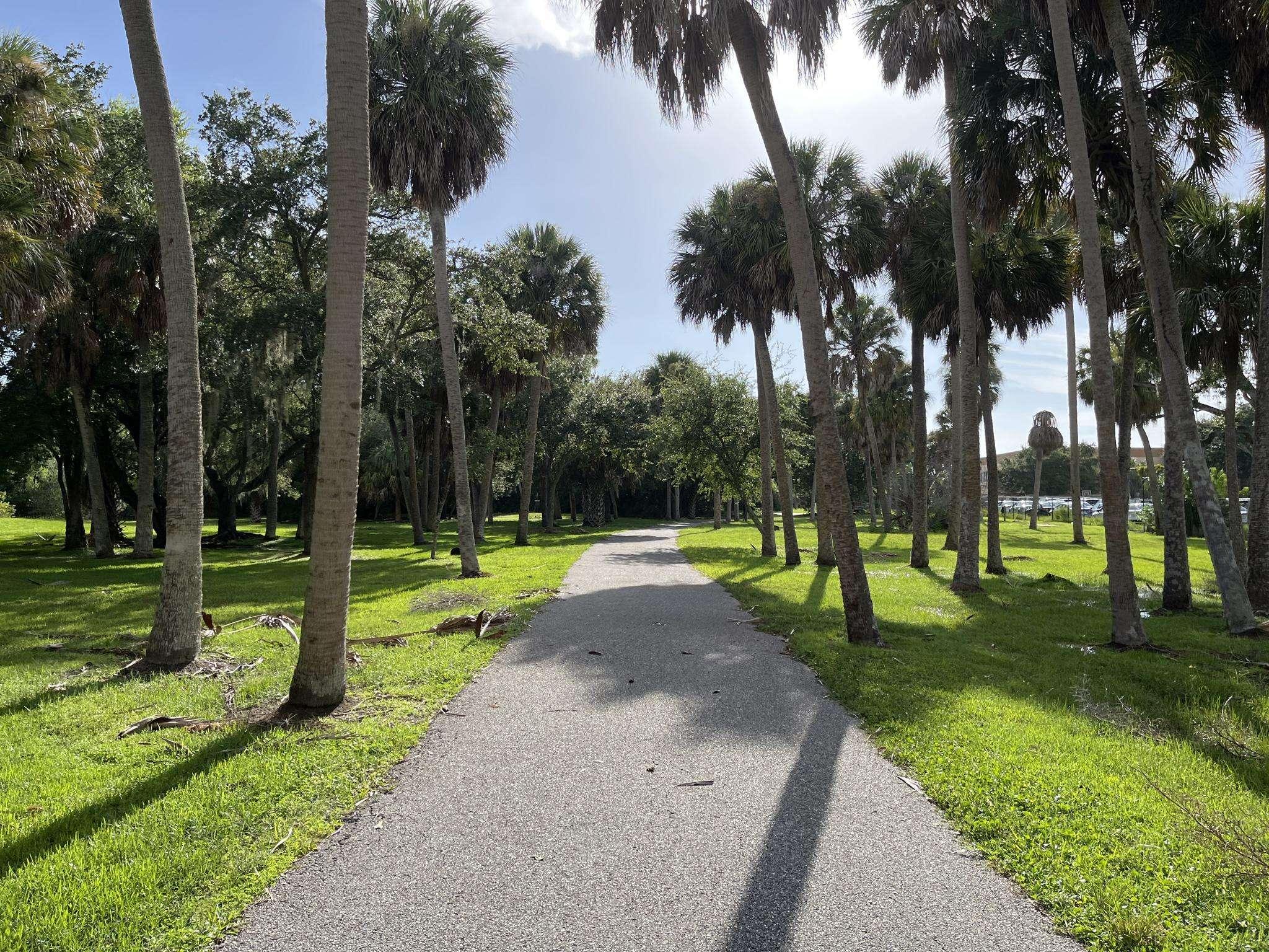 Top 10 <b>Bike Rides</b> and <b>Cycling Routes</b> around <b>Tampa</b> | Komoot
