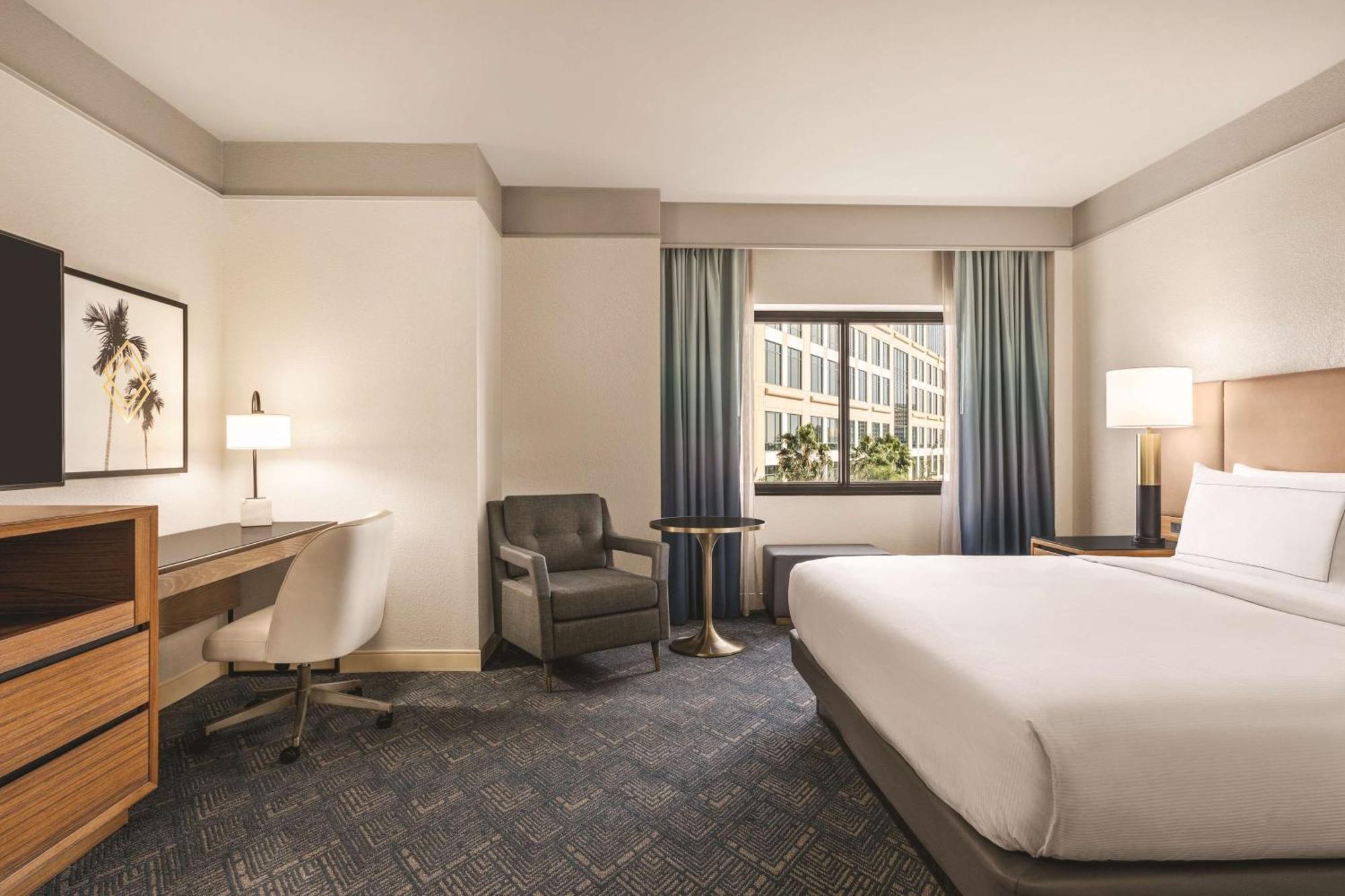King Room Bath Tub Mobility Accessible