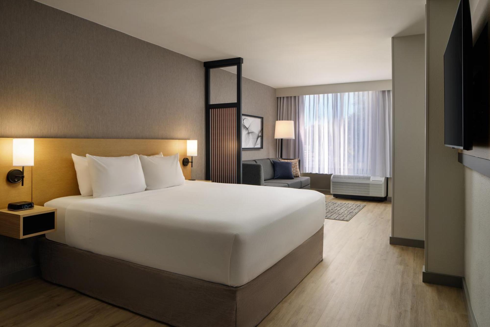King Room Sofa Bed High Floor