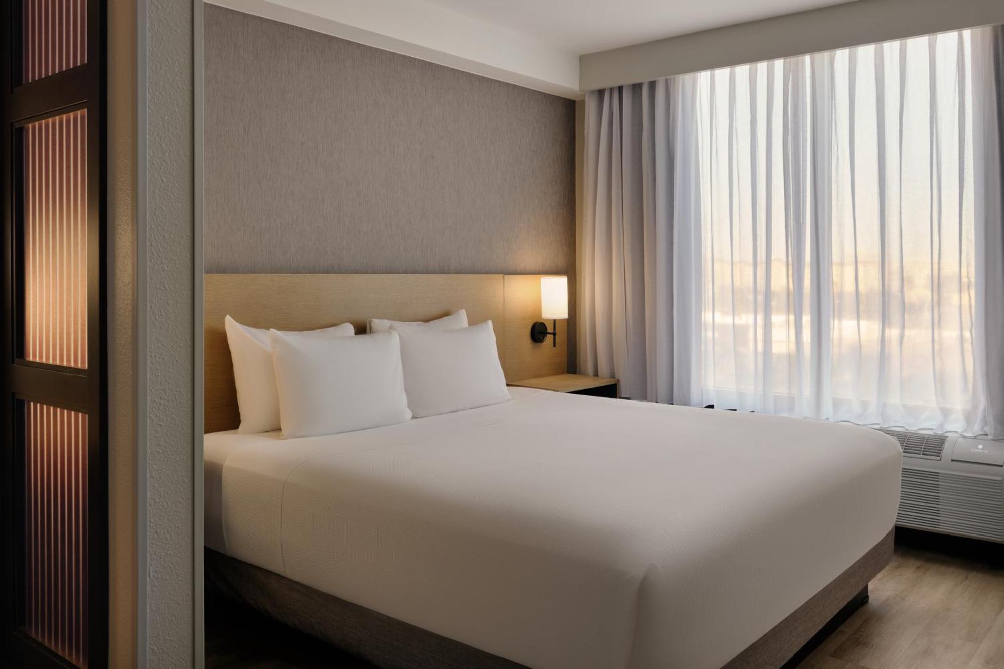 King Room Sofa Bed High Floor
