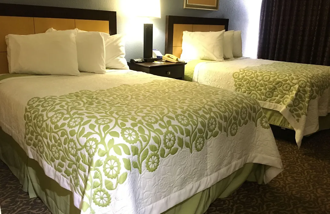 Days Inn & Suites By Wyndham Tampa Fairground-Casino-Ybor-1