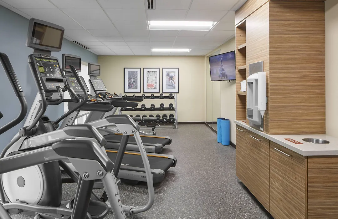 Towneplace Suites By Marriott Tampa South-1