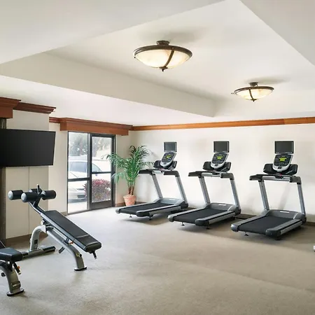 Springhill Suites By Marriott Tampa Westshore Airport-3