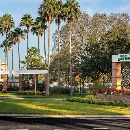 Hyatt Place Tampa Busch Gardens-3