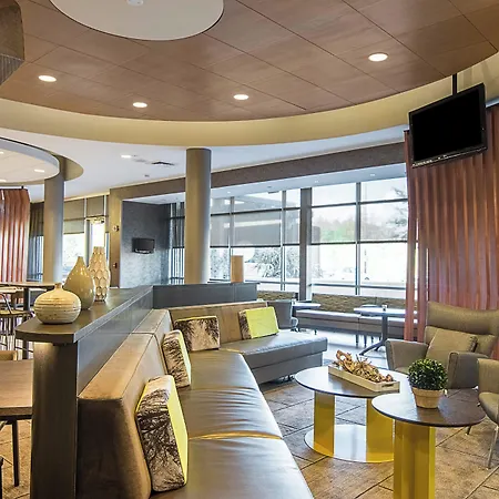 Springhill Suites Tampa North/Tampa Palms-2