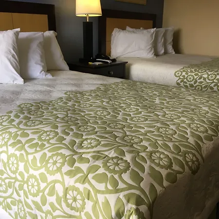 Days Inn & Suites By Wyndham Tampa Fairground-Casino-Ybor-3