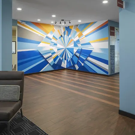 Towneplace Suites By Marriott Tampa South-2