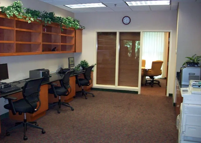 Embassy Suites By Hilton Tampa Usf Near Busch Gardens