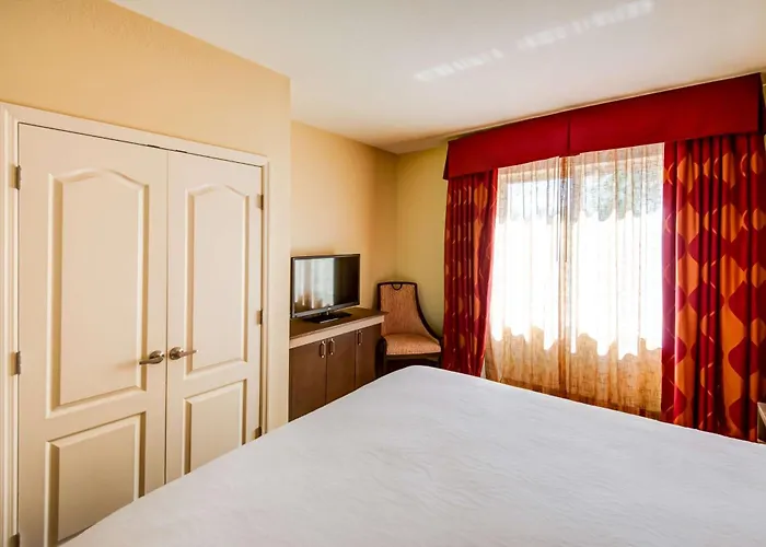 Hilton Garden Inn Tampa Ybor Historic District